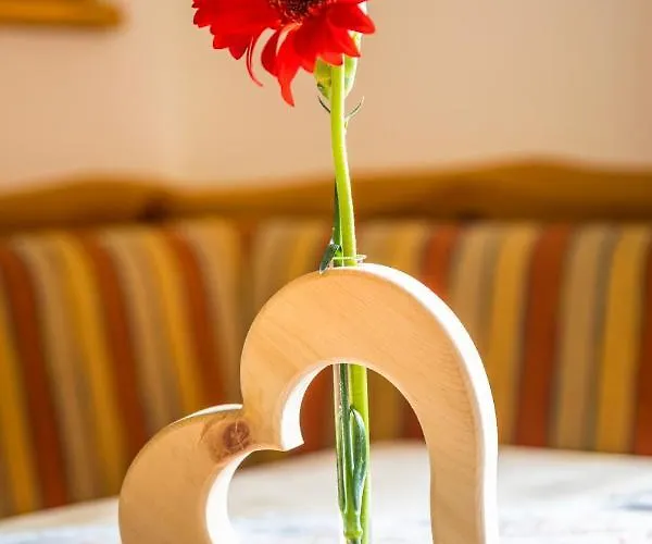 Tonibauer 팜스테이